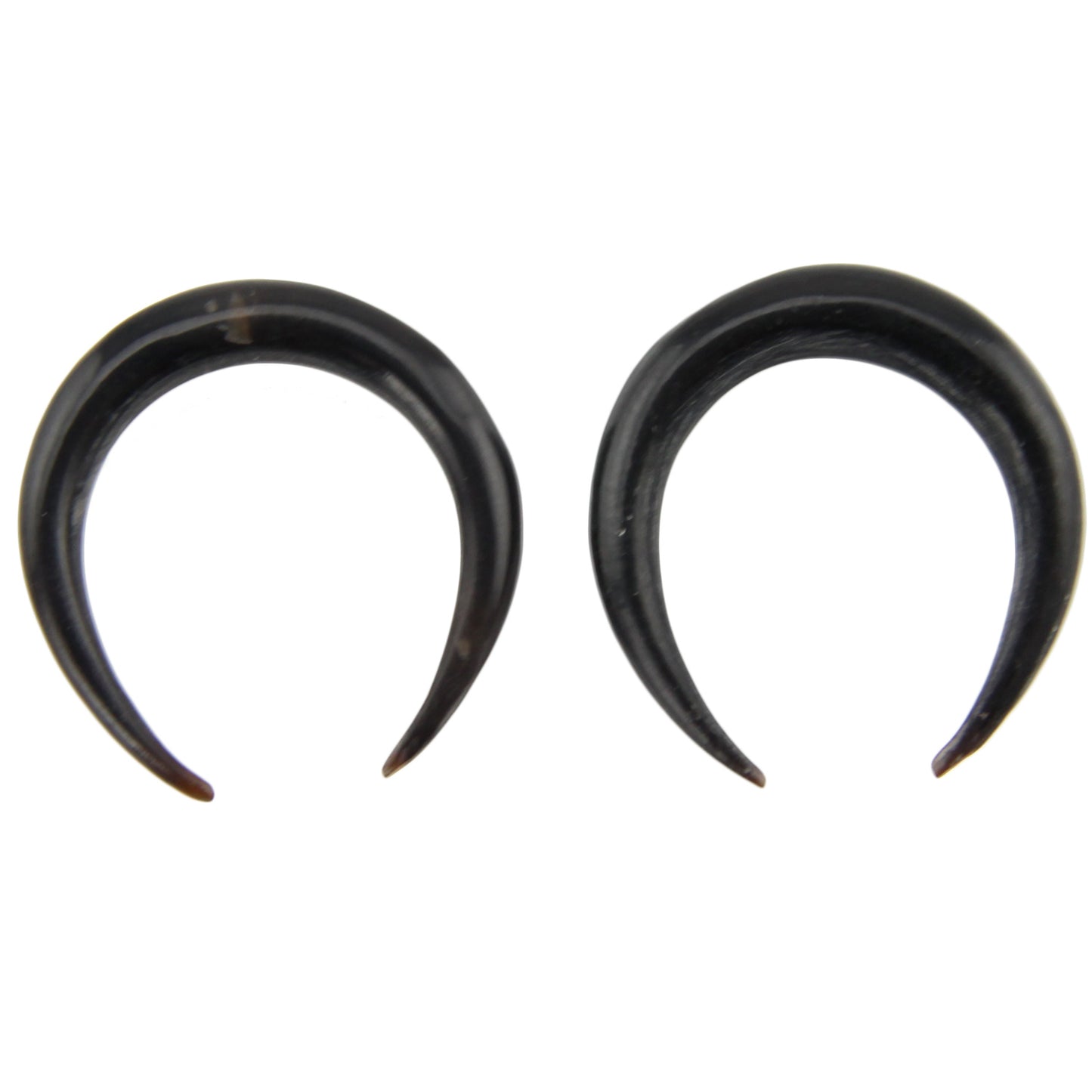 Hand Carved Horn Bull Ring Ear Gauges - 3mm / 8g – Evolatree Jewelry