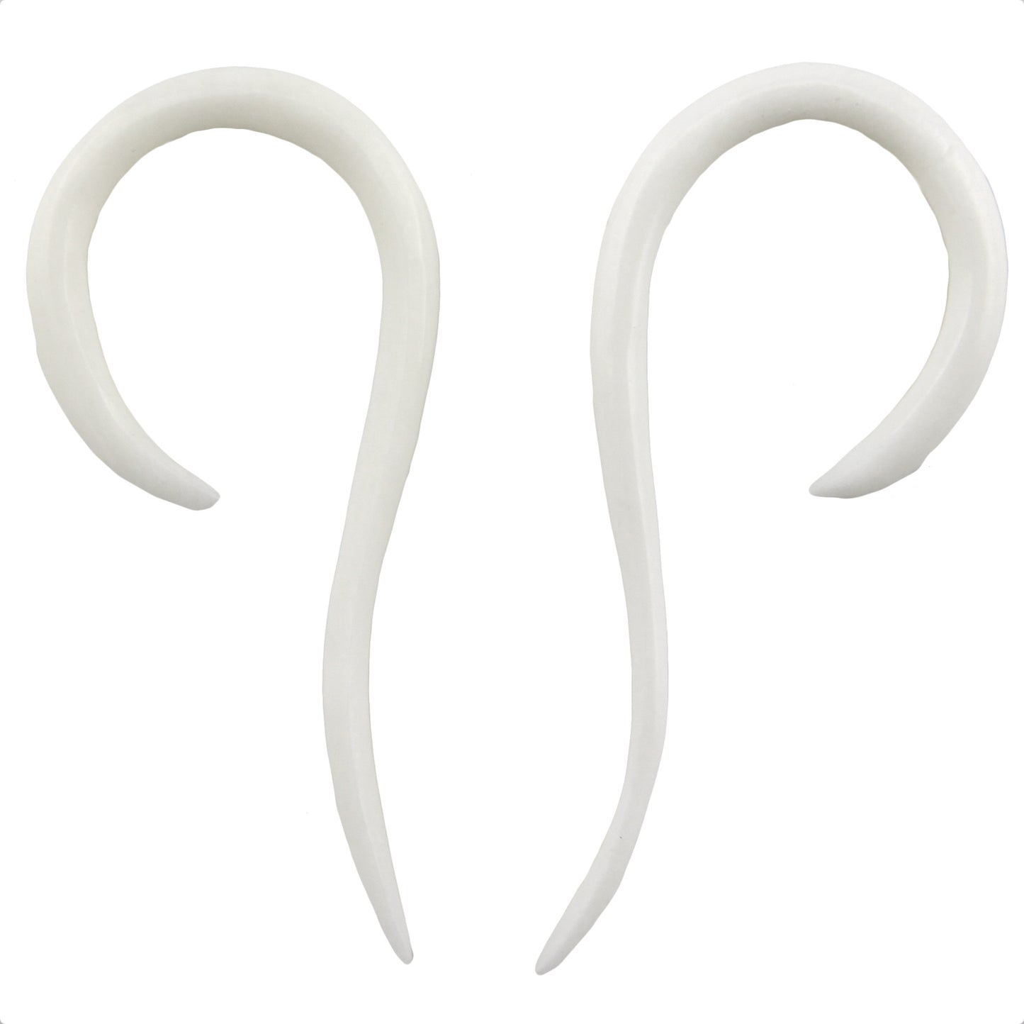 Hand Carved Bone Spiral Loop Ear Gauges - 2.5mm / 10g – Evolatree Jewelry