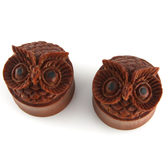Hand Carved Owl Face Ear Plugs