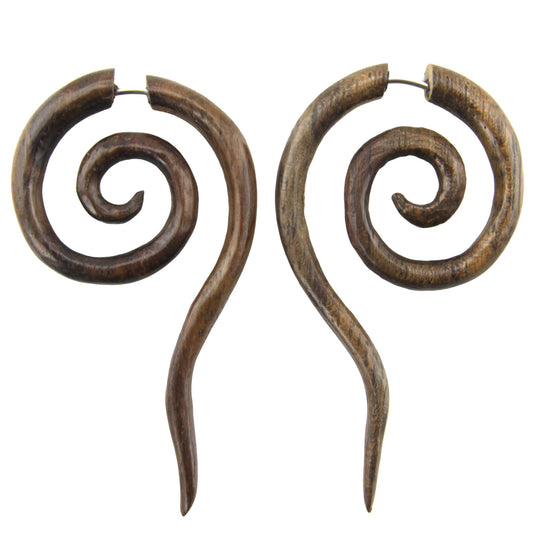 Hand Carved Wood Spiral Earrings - Steel Posts – Evolatree Jewelry