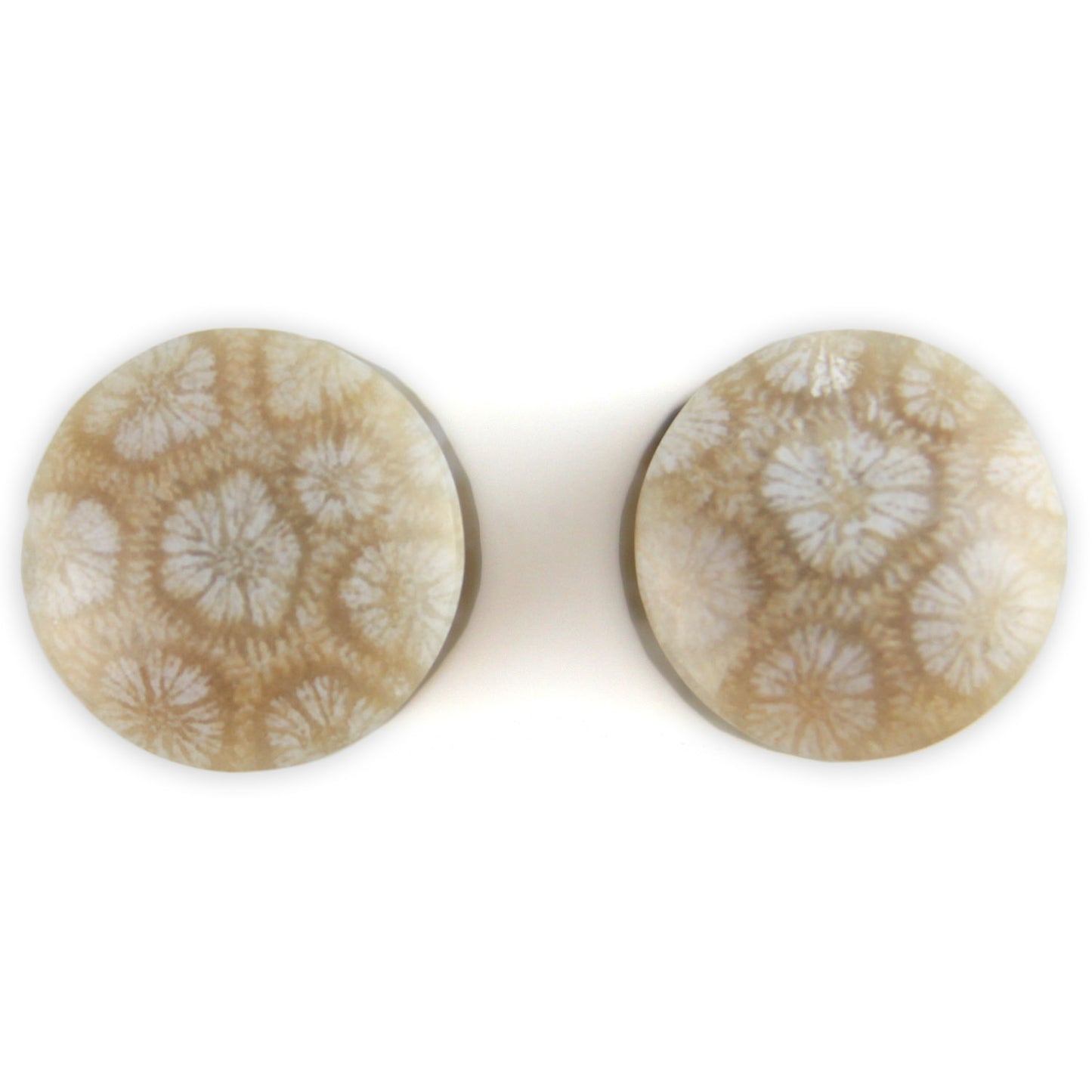 Hand Carved Fossilized Coral Ear Plugs - Violet Musk and Iridescent Tan - 11mm / 000g – image 2 – Evolatree Jewelry