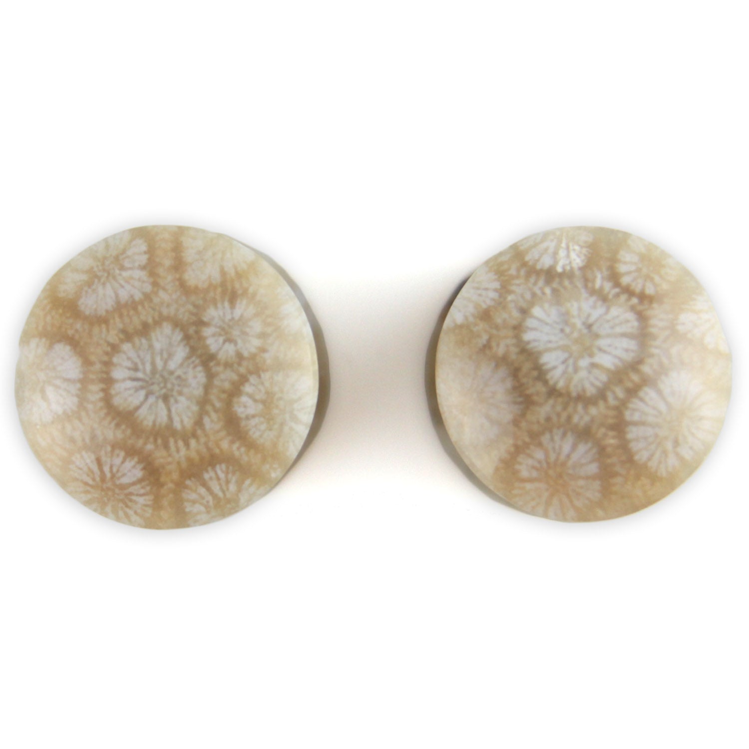 Hand Carved Fossilized Coral Ear Plugs - Violet Musk and Iridescent Tan - 11mm / 000g – image 2 – Evolatree Jewelry