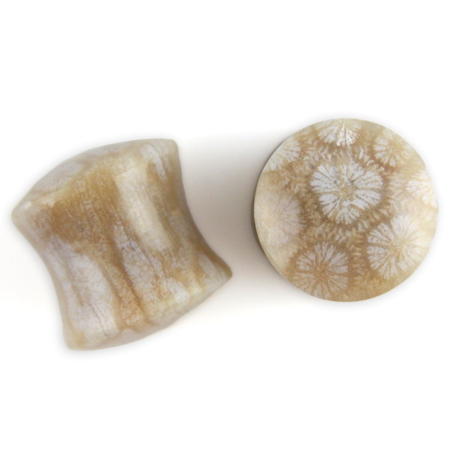 Hand Carved Fossilized Coral Ear Plugs - Violet Musk and Iridescent Tan - 11mm / 000g – image 3 – Evolatree Jewelry